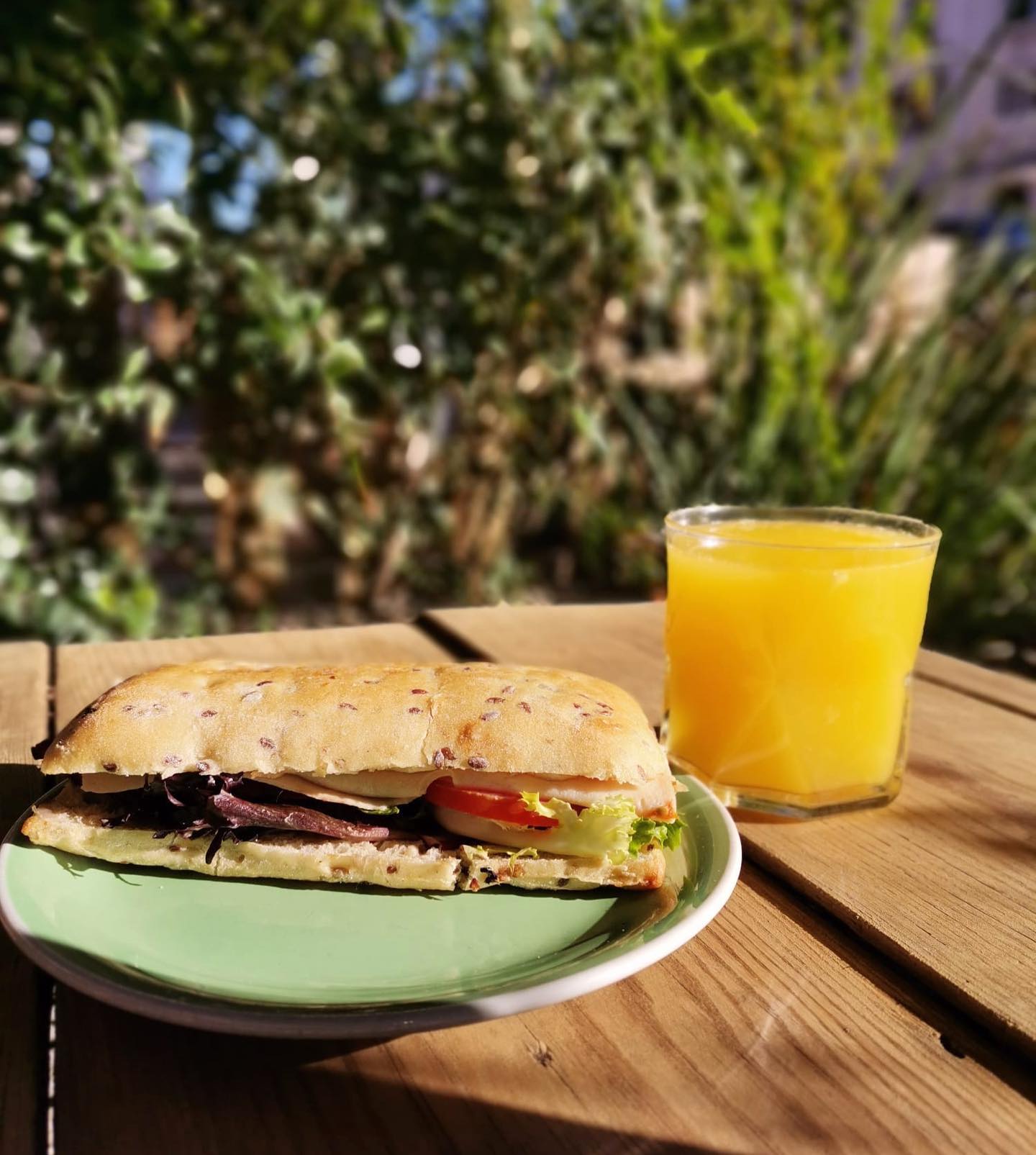 Bocadillo vegetal